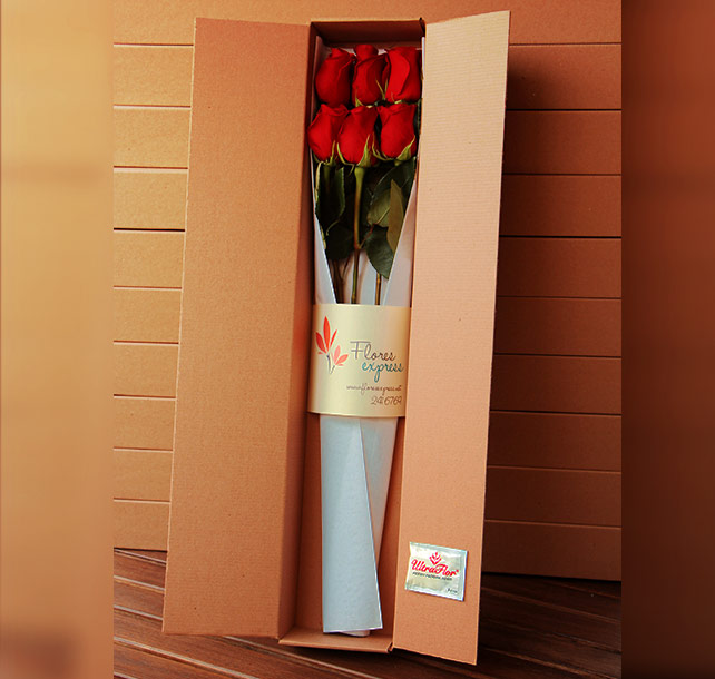 flores spress flores spress