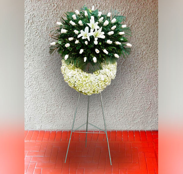 flores spress flores spress