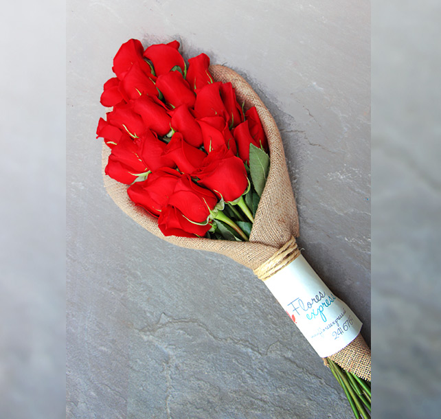 flores spress flores spress